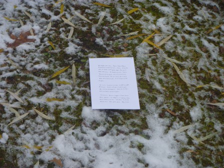 P1040281.JPG, nov. 2016 P1040281.JPG